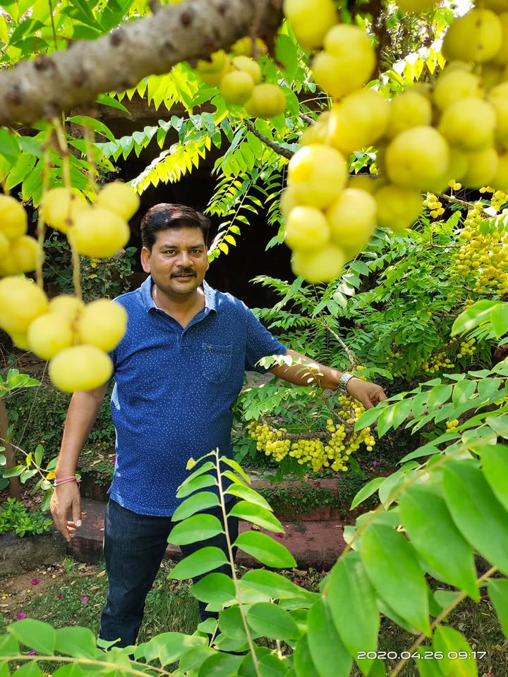 Shri Harishankar Nishad